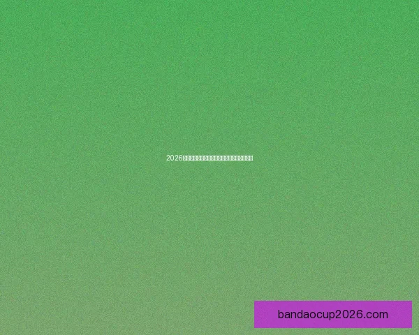 2026世界杯最佳球员全程表现解析与精彩瞬间回顾