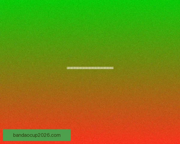 半岛体育比分即时更新平台助您精准掌握全球赛事动态与实时比分解析