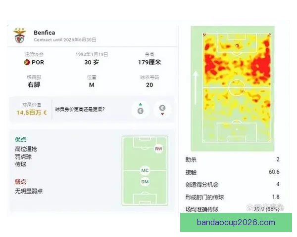掌握世界杯竞猜比赛技巧与数据分析方法全面提升预测胜率策略指南 ⚽📊